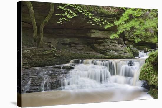 Waterfall in the Monbachtal, Black Forest, Baden-Wurttemberg, Germany-Markus Lange-Stretched Canvas