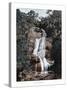 Waterfall in Tijuca, Rio De Janeiro, Brazil, 19th Century-null-Stretched Canvas