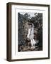 Waterfall in Tijuca, Rio De Janeiro, Brazil, 19th Century-null-Framed Giclee Print