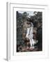 Waterfall in Tijuca, Rio De Janeiro, Brazil, 19th Century-null-Framed Giclee Print