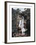 Waterfall in Tijuca, Rio De Janeiro, Brazil, 19th Century-null-Framed Giclee Print