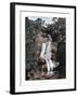 Waterfall in Tijuca, Rio De Janeiro, Brazil, 19th Century-null-Framed Giclee Print