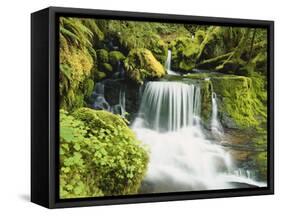Waterfall in Willamette National Forest, Oregon, USA-Stuart Westmoreland-Framed Stretched Canvas