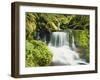 Waterfall in Willamette National Forest, Oregon, USA-Stuart Westmoreland-Framed Photographic Print