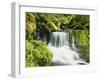 Waterfall in Willamette National Forest, Oregon, USA-Stuart Westmoreland-Framed Photographic Print