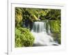 Waterfall in Willamette National Forest, Oregon, USA-Stuart Westmoreland-Framed Photographic Print