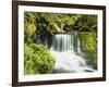 Waterfall in Willamette National Forest, Oregon, USA-Stuart Westmoreland-Framed Photographic Print