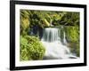 Waterfall in Willamette National Forest, Oregon, USA-Stuart Westmoreland-Framed Photographic Print