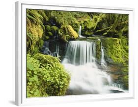 Waterfall in Willamette National Forest, Oregon, USA-Stuart Westmoreland-Framed Photographic Print