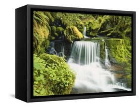 Waterfall in Willamette National Forest, Oregon, USA-Stuart Westmoreland-Framed Stretched Canvas