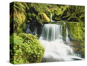 Waterfall in Willamette National Forest, Oregon, USA-Stuart Westmoreland-Stretched Canvas