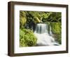 Waterfall in Willamette National Forest, Oregon, USA-Stuart Westmoreland-Framed Photographic Print