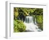 Waterfall in Willamette National Forest, Oregon, USA-Stuart Westmoreland-Framed Photographic Print