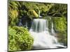 Waterfall in Willamette National Forest, Oregon, USA-Stuart Westmoreland-Mounted Photographic Print