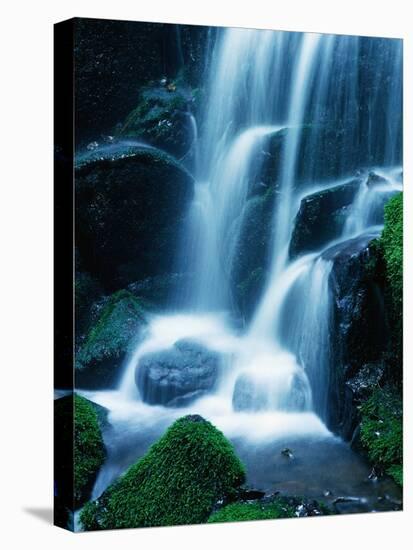 Waterfall in Yosemite National Park-Bill Ross-Stretched Canvas