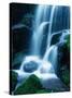 Waterfall in Yosemite National Park-Bill Ross-Stretched Canvas