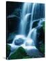 Waterfall in Yosemite National Park-Bill Ross-Stretched Canvas