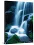 Waterfall in Yosemite National Park-Bill Ross-Stretched Canvas