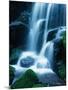 Waterfall in Yosemite National Park-Bill Ross-Mounted Photographic Print