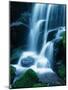 Waterfall in Yosemite National Park-Bill Ross-Mounted Photographic Print