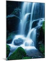 Waterfall in Yosemite National Park-Bill Ross-Mounted Photographic Print