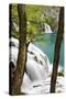 Waterfall Milanovacki Slapovi, Plitvice Lakes, Plitvicka Jezera, Croatia-Martin Zwick-Stretched Canvas