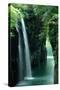 Waterfall Miyazaki Japan-null-Stretched Canvas