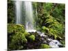 Waterfall, Mt Hood National Forest, Columbia Gorge Scenic Area, Oregon, USA-Stuart Westmorland-Mounted Photographic Print