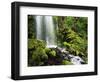 Waterfall, Mt Hood National Forest, Columbia Gorge Scenic Area, Oregon, USA-Stuart Westmorland-Framed Photographic Print