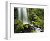 Waterfall, Mt Hood National Forest, Columbia Gorge Scenic Area, Oregon, USA-Stuart Westmorland-Framed Photographic Print