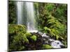 Waterfall, Mt Hood National Forest, Columbia Gorge Scenic Area, Oregon, USA-Stuart Westmorland-Mounted Photographic Print