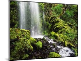 Waterfall, Mt Hood National Forest, Columbia Gorge Scenic Area, Oregon, USA-Stuart Westmorland-Mounted Photographic Print