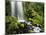 Waterfall, Mt Hood National Forest, Columbia Gorge Scenic Area, Oregon, USA-Stuart Westmorland-Mounted Photographic Print