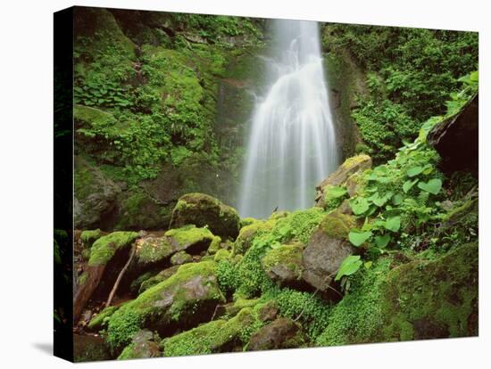 Waterfall, Mtirala National Park, Georgia, May 2008-Popp-Stretched Canvas