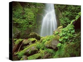 Waterfall, Mtirala National Park, Georgia, May 2008-Popp-Stretched Canvas