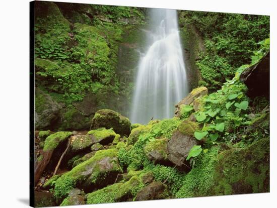 Waterfall, Mtirala National Park, Georgia, May 2008-Popp-Stretched Canvas