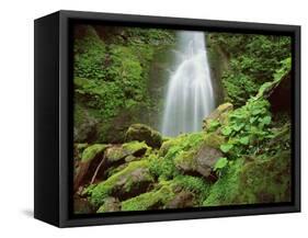 Waterfall, Mtirala National Park, Georgia, May 2008-Popp-Framed Stretched Canvas