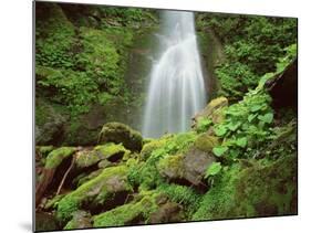 Waterfall, Mtirala National Park, Georgia, May 2008-Popp-Mounted Photographic Print