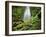 Waterfall, Mtirala National Park, Georgia, May 2008-Popp-Framed Photographic Print