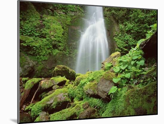 Waterfall, Mtirala National Park, Georgia, May 2008-Popp-Mounted Photographic Print