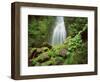 Waterfall, Mtirala National Park, Georgia, May 2008-Popp-Framed Photographic Print