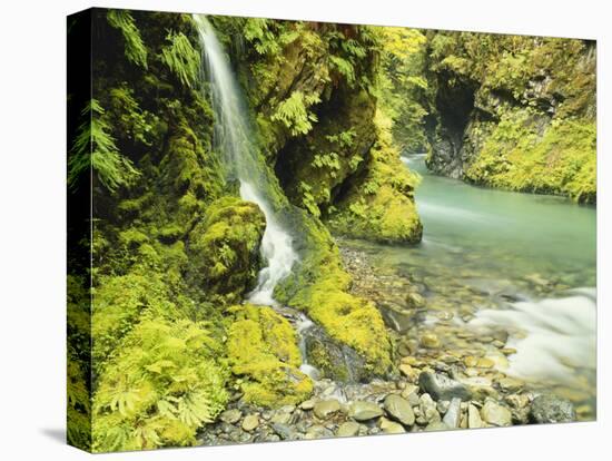 Waterfall Near Graves Creek, Olympic National Park, Washington, USA-Stuart Westmoreland-Stretched Canvas