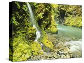 Waterfall Near Graves Creek, Olympic National Park, Washington, USA-Stuart Westmoreland-Stretched Canvas