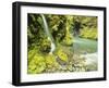 Waterfall Near Graves Creek, Olympic National Park, Washington, USA-Stuart Westmoreland-Framed Photographic Print