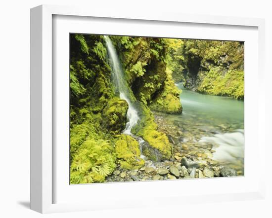 Waterfall Near Graves Creek, Olympic National Park, Washington, USA-Stuart Westmoreland-Framed Photographic Print