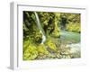 Waterfall Near Graves Creek, Olympic National Park, Washington, USA-Stuart Westmoreland-Framed Photographic Print