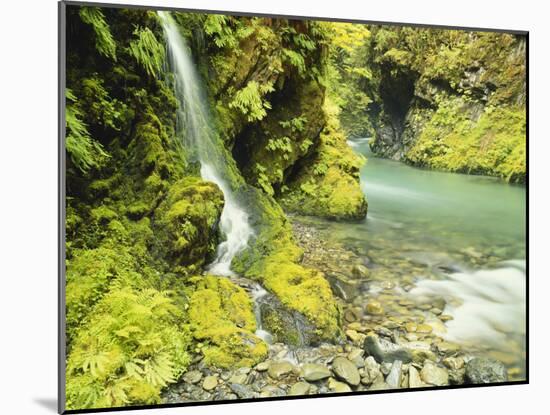 Waterfall Near Graves Creek, Olympic National Park, Washington, USA-Stuart Westmoreland-Mounted Photographic Print