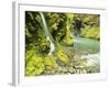 Waterfall Near Graves Creek, Olympic National Park, Washington, USA-Stuart Westmoreland-Framed Photographic Print