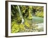 Waterfall Near Graves Creek, Olympic National Park, Washington, USA-Stuart Westmoreland-Framed Photographic Print