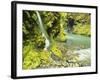 Waterfall Near Graves Creek, Olympic National Park, Washington, USA-Stuart Westmoreland-Framed Photographic Print